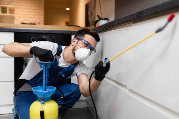 Best Pest Prevention Services  in Mobridge, SD