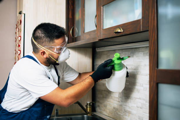Best Wasp Removal Services  in Mobridge, SD