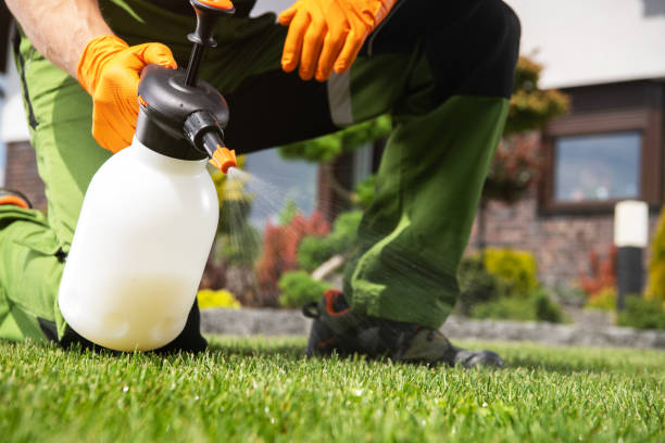 Best Affordable Pest Control Services  in Mobridge, SD