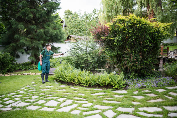 Best Mosquito Control Services  in Mobridge, SD