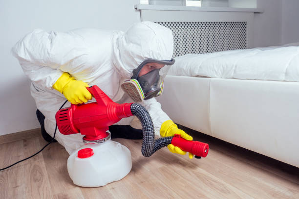 Best Termite Control Services  in Mobridge, SD
