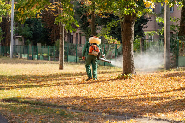 Best Local Pest Control Services  in Mobridge, SD