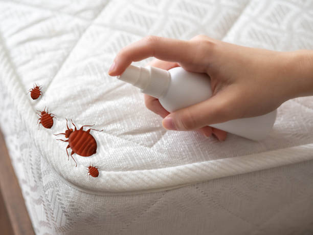 Best Best Pest Control Companies  in Mobridge, SD
