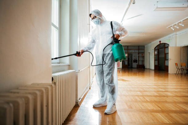 Best Local Pest Control Services  in Mobridge, SD