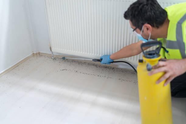 Best Emergency Pest Control  in Mobridge, SD