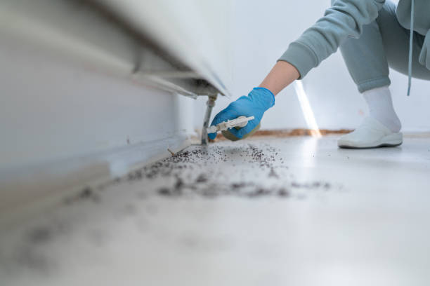 Best Bed Bug Extermination  in Mobridge, SD